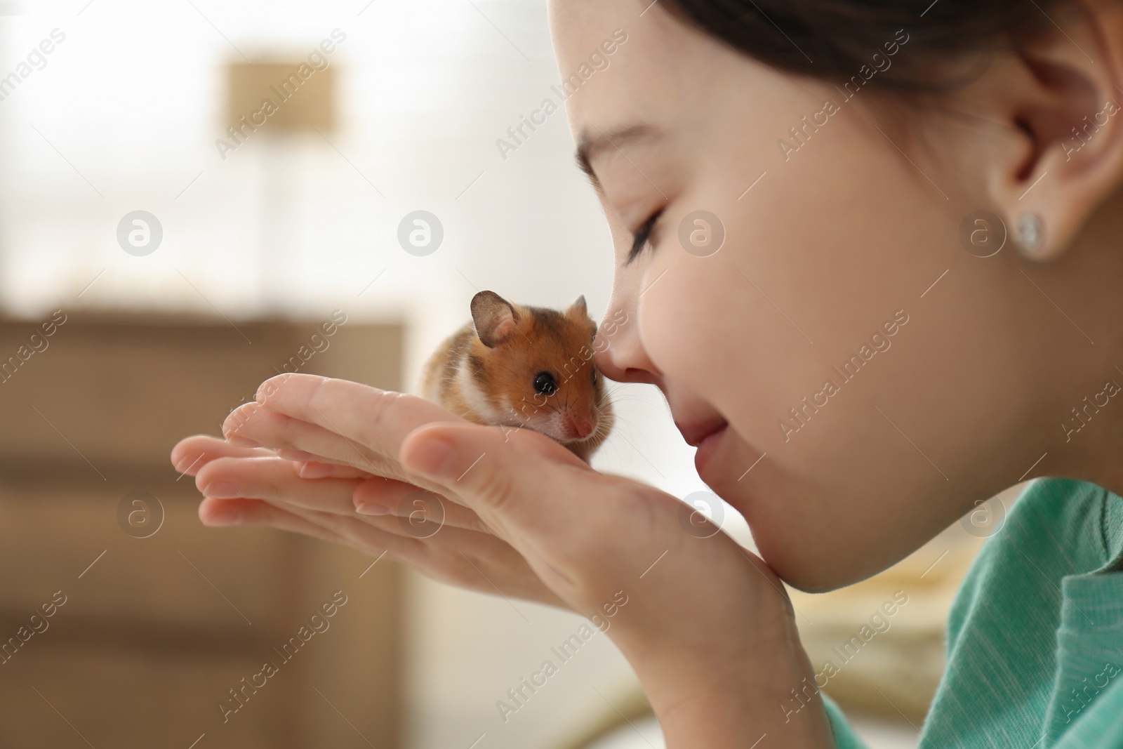 Photo of Little girl holding cute hamster at home, closeup