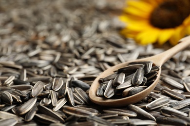 Photo of Wooden spoon and raw sunflower seeds as background, closeup