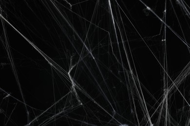 Creepy white cobweb on black background, closeup