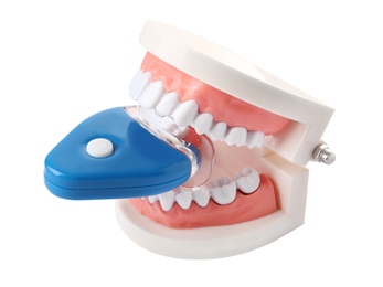 Photo of Educational model of oral cavity with teeth and bleaching device on white background