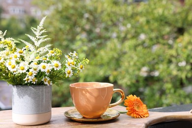 Photo of Cup of delicious chamomile tea and fresh flowers outdoors on sunny day. Space for text