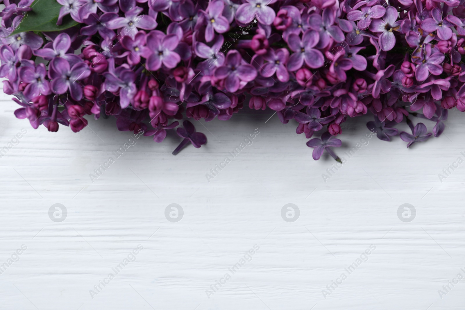 Photo of Beautiful lilac blossom on white wooden background, flat lay. Space for text