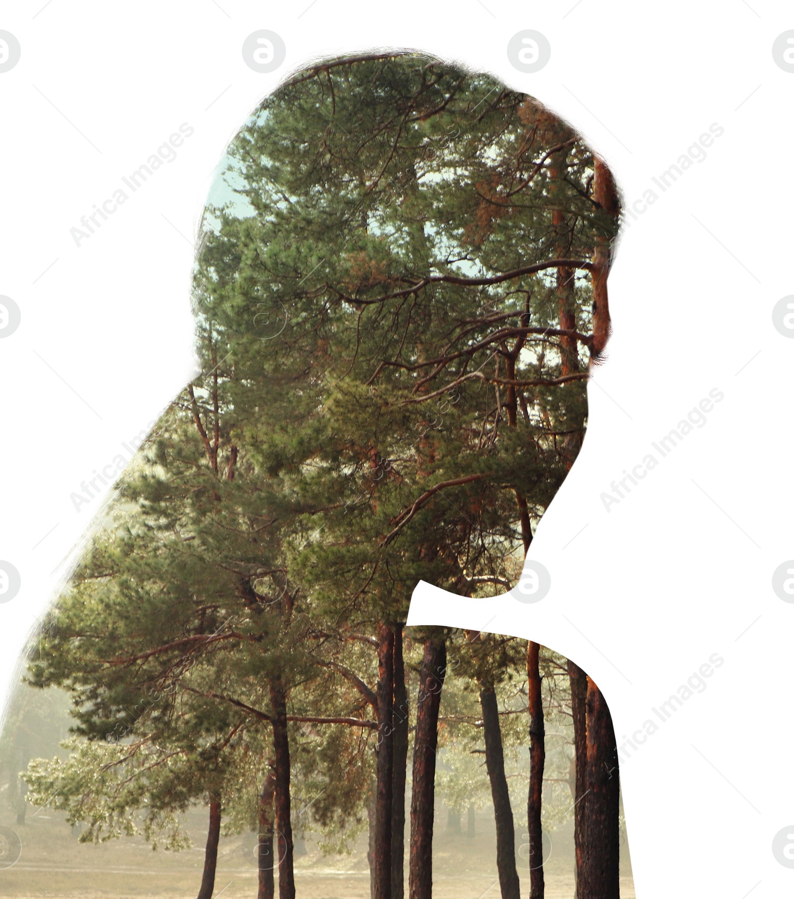 Image of Double exposure with silhouette of woman and trees on white background