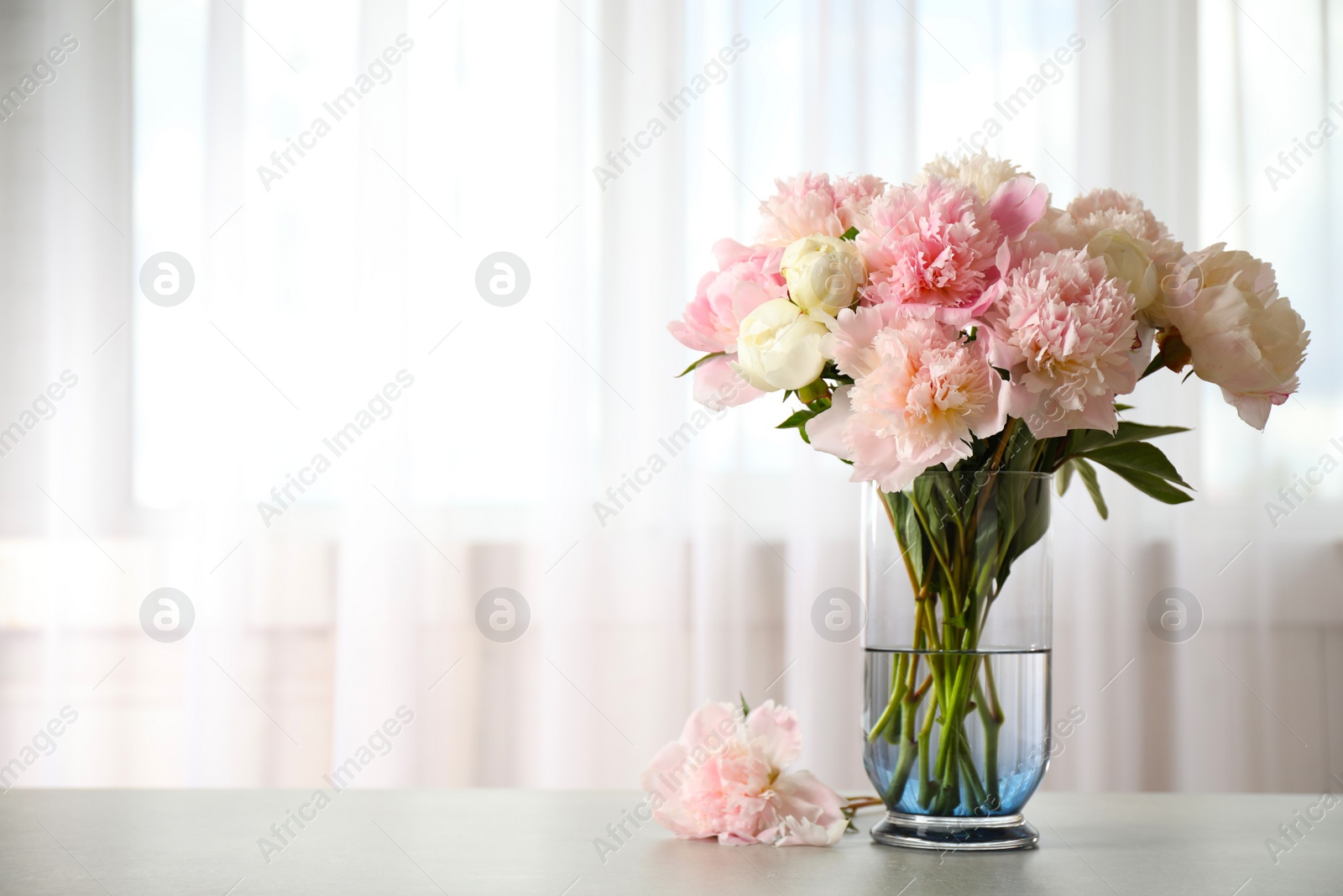 Photo of Beautiful peony bouquet in vase on table indoors. Space for text