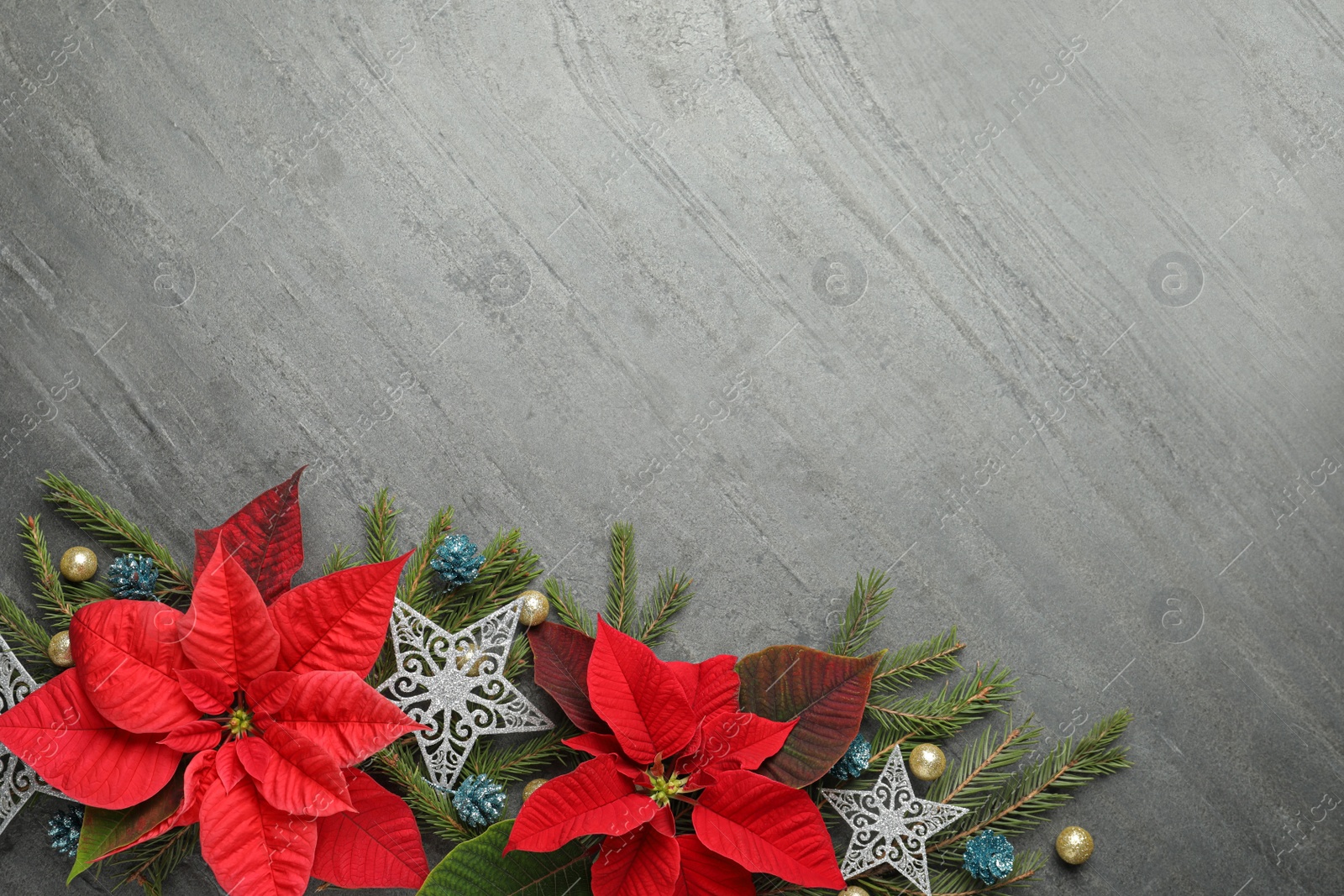 Photo of Flat lay composition with beautiful poinsettia on grey background, space for text. Christmas traditional flower