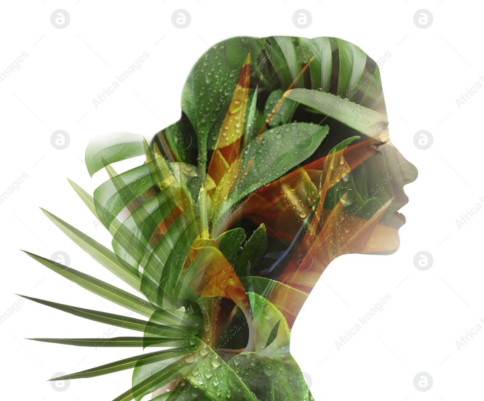 Image of Beautiful woman and tropical leaves on white background. Double exposure