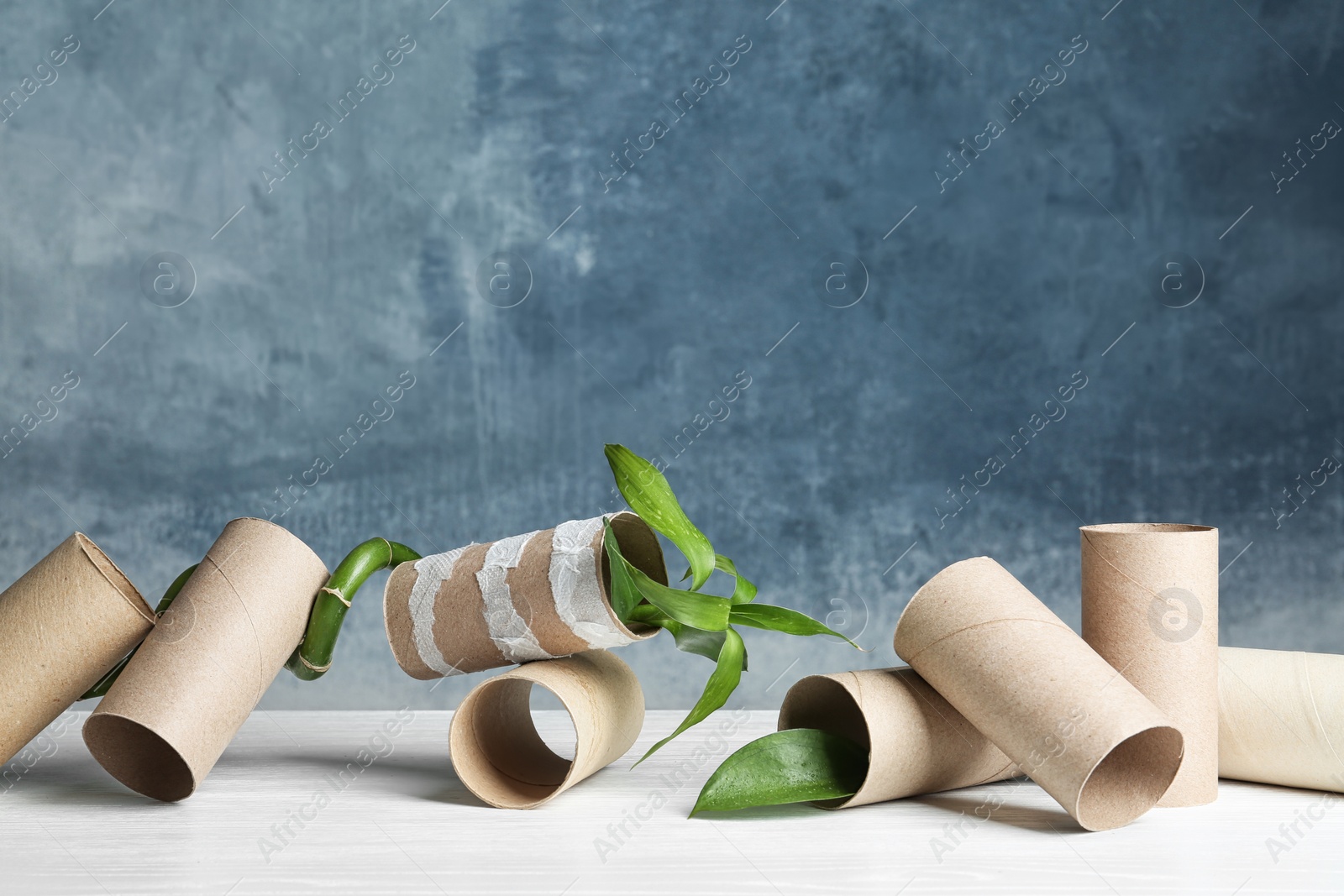 Photo of Composition with bamboo plant and empty toilet paper rolls on table. Space for text