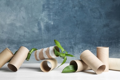 Composition with bamboo plant and empty toilet paper rolls on table. Space for text