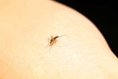Photo of Insect repellent concept. Closeup view of mosquito on skin against black background