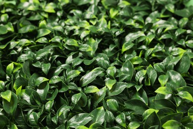Photo of Green artificial plants as background, closeup view