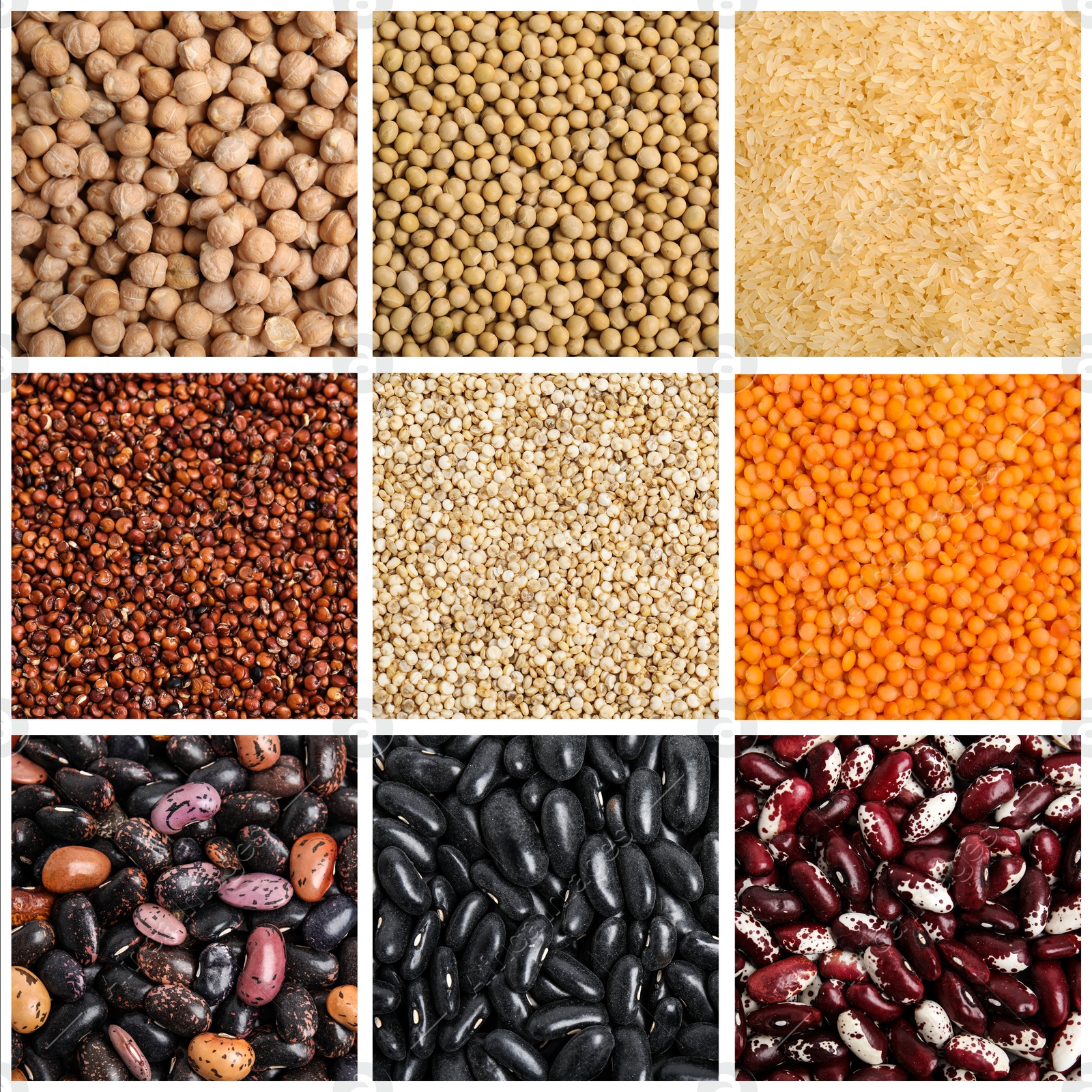 Image of Collage with photos of different legumes and seeds. Vegan diet 