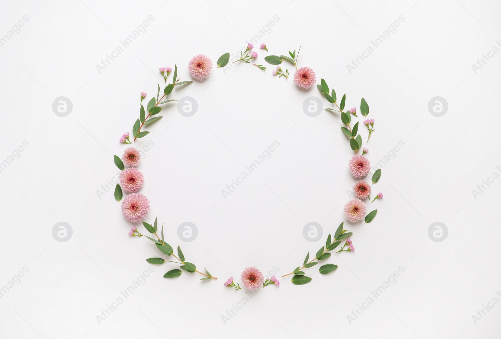 Photo of Beautiful wreath made of flowers and eucalyptus on white background, flat lay