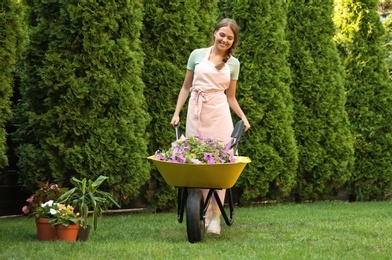 Photo of Happy young woman with wheelbarrow working in garden