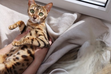 Photo of Woman with cute Bengal cat near window at home, closeup. Adorable pet