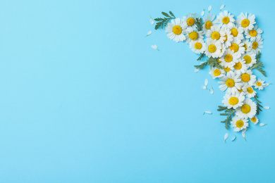 Photo of Flat lay composition with fresh chamomiles on light blue background. Space for text