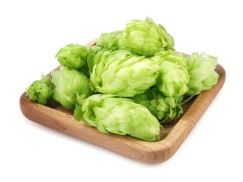 Many fresh green hops on white background