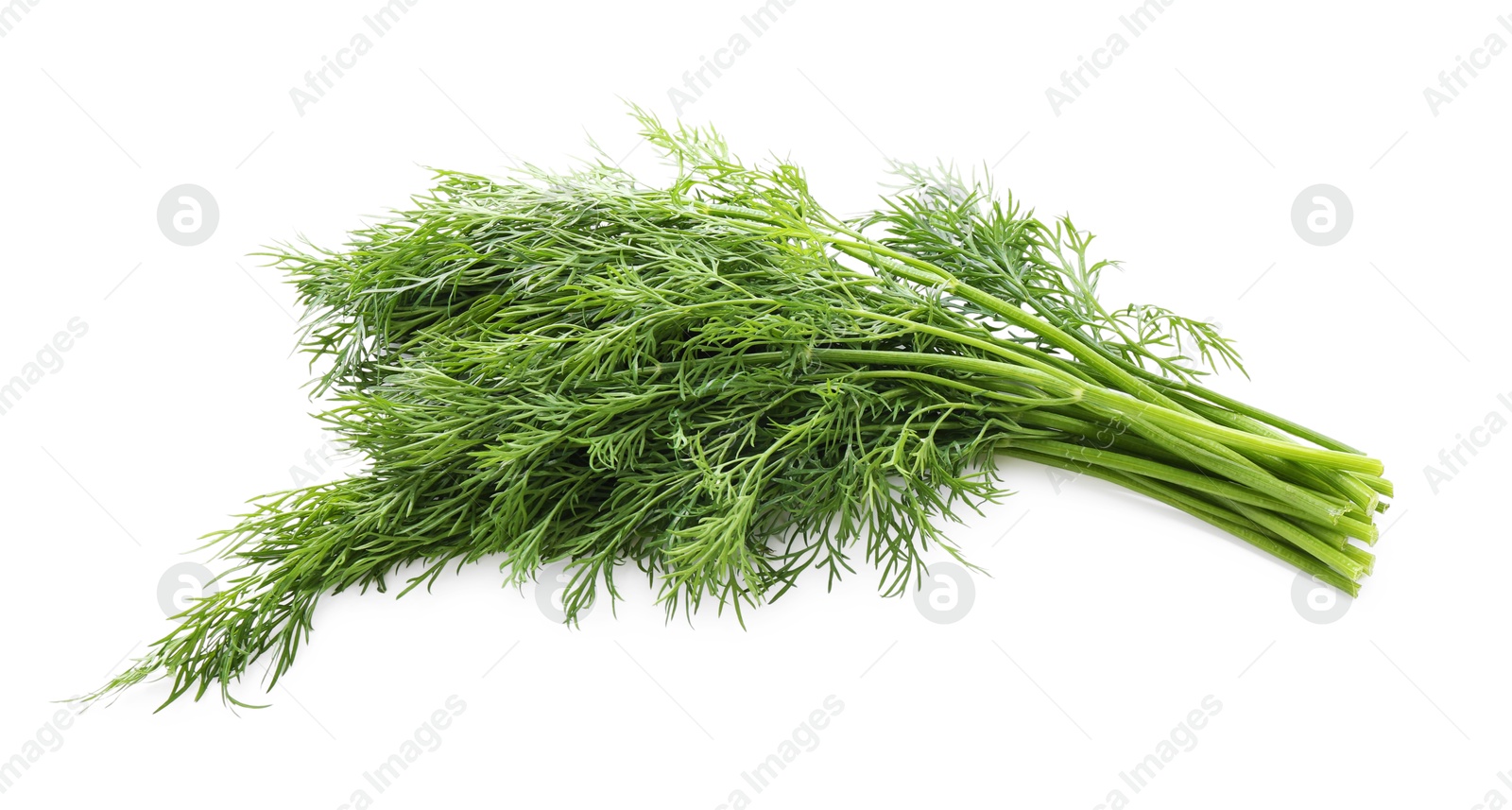 Photo of Fresh green dill branches isolated on white