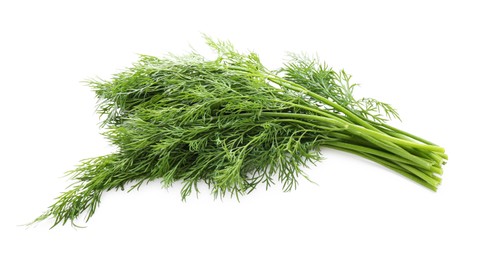 Photo of Fresh green dill branches isolated on white