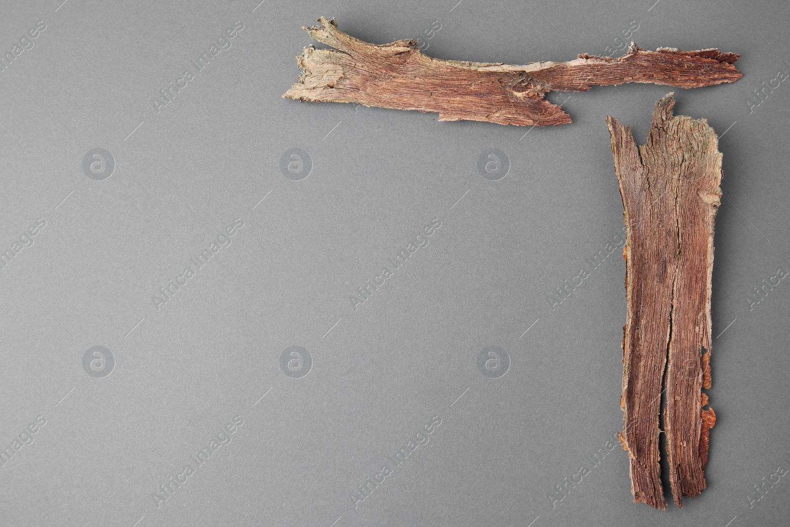 Photo of Tree bark pieces on gray background, flat lay Space for text