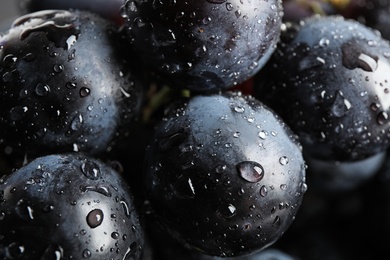 Fresh ripe juicy black grapes as background, closeup view