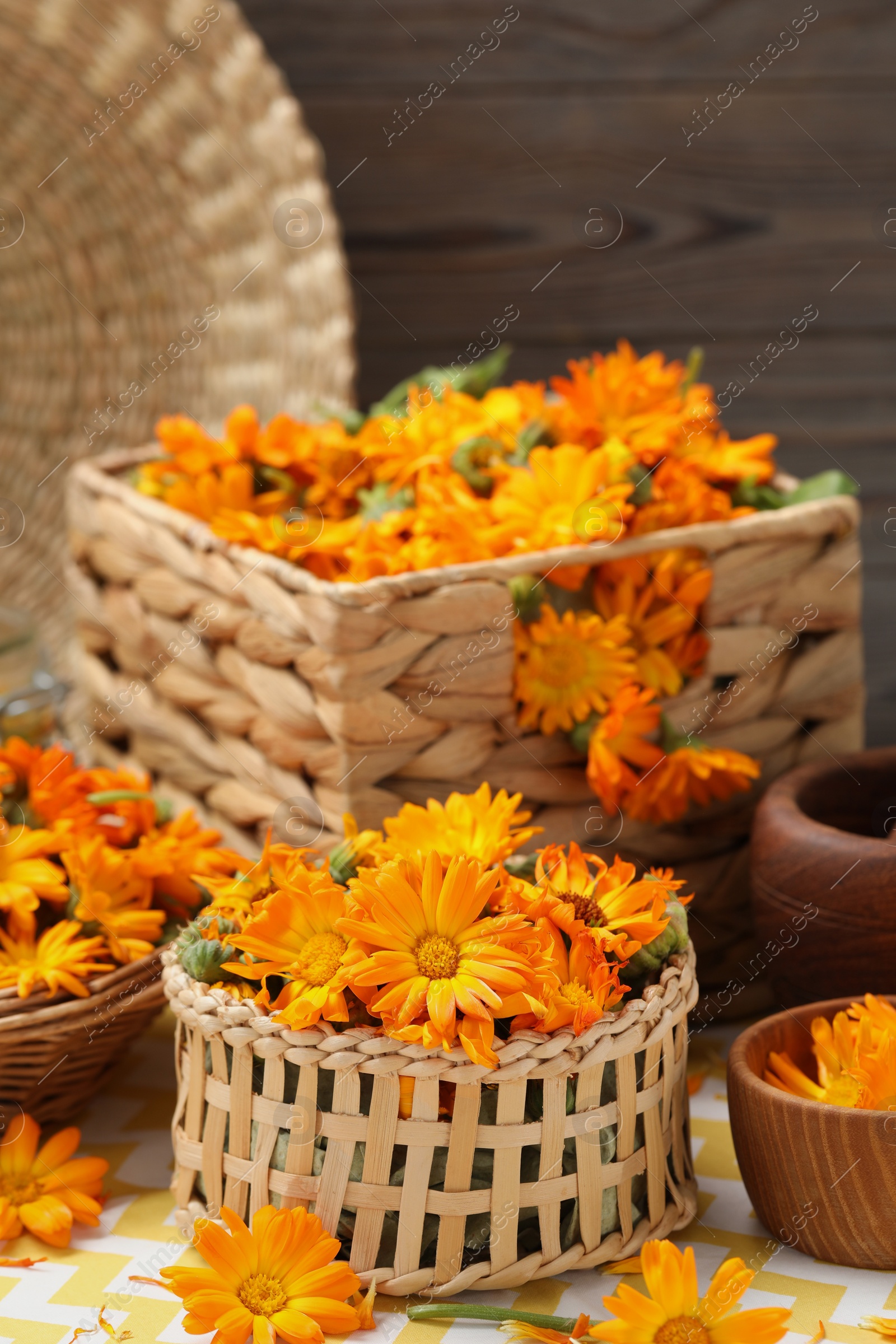 Photo of Many beautiful fresh calendula flowers on table