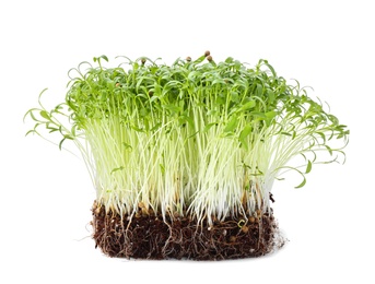 Photo of Fresh organic microgreen seeds on white background