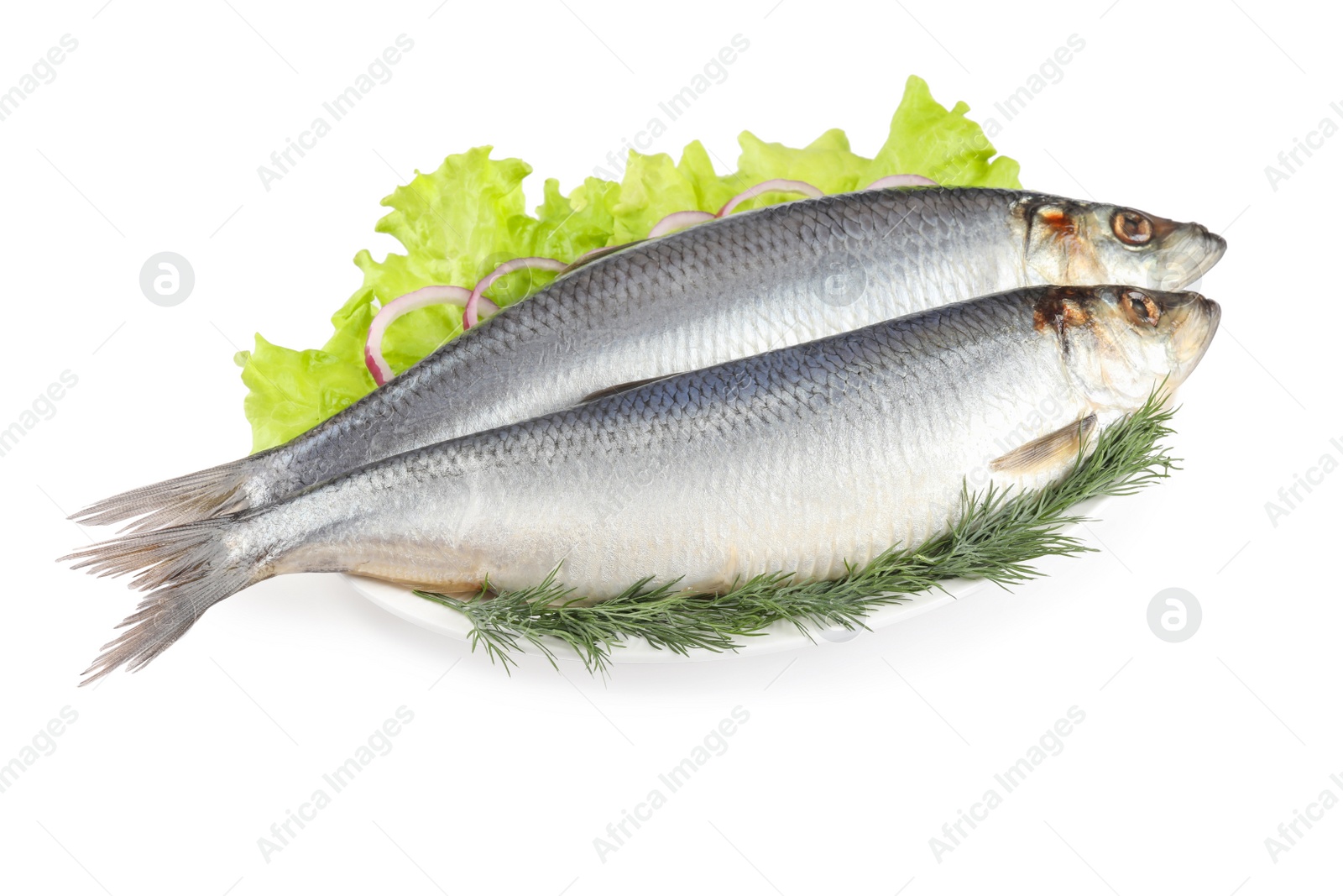 Photo of Plate with salted herrings, dill, onion rings and lettuce isolated on white