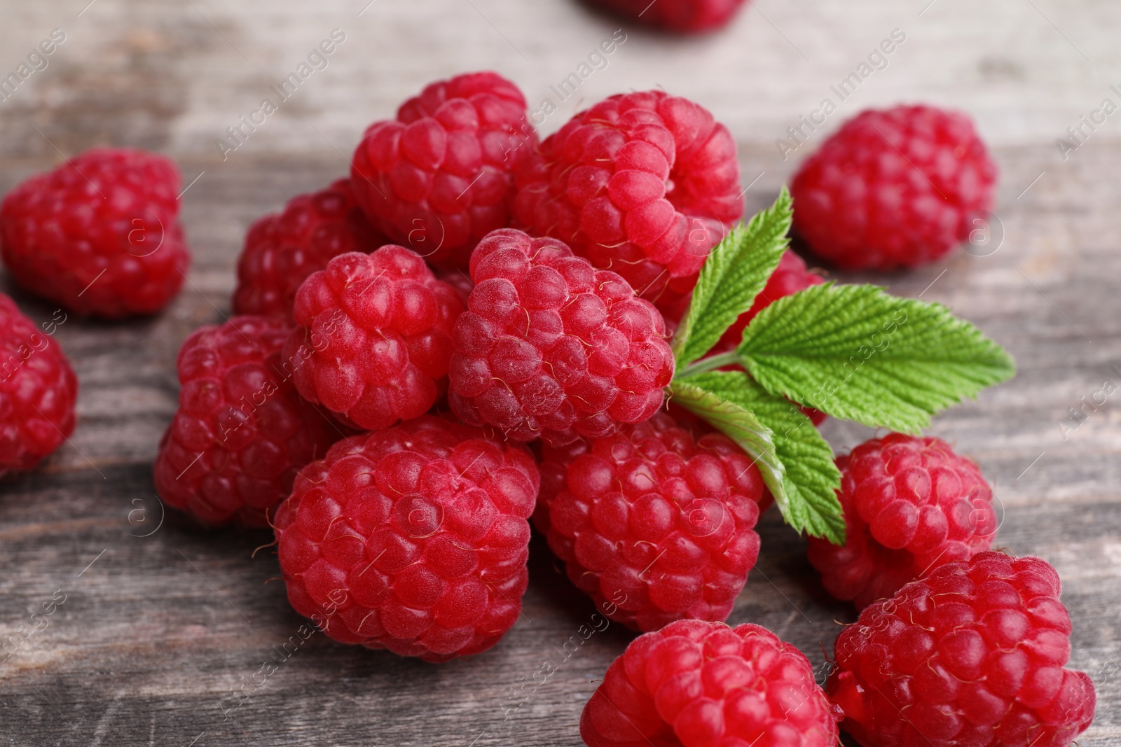 Photo of Tasty ripe raspberries and green leaves on wooden table, closeup