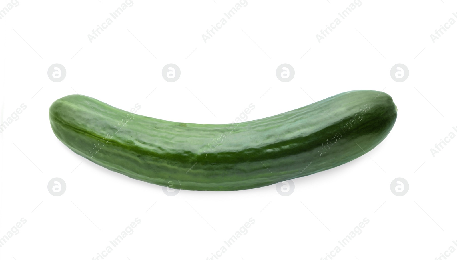 Photo of Whole fresh green cucumber isolated on white