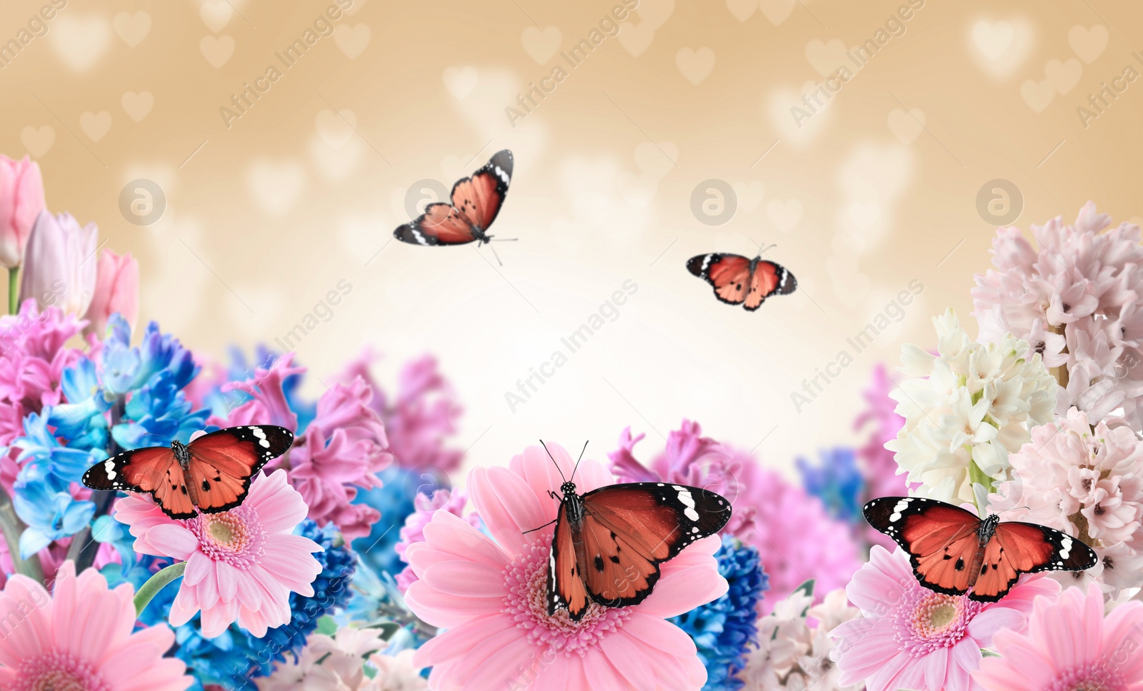 Image of Beautiful blooming flowers and painted lady butterflies 