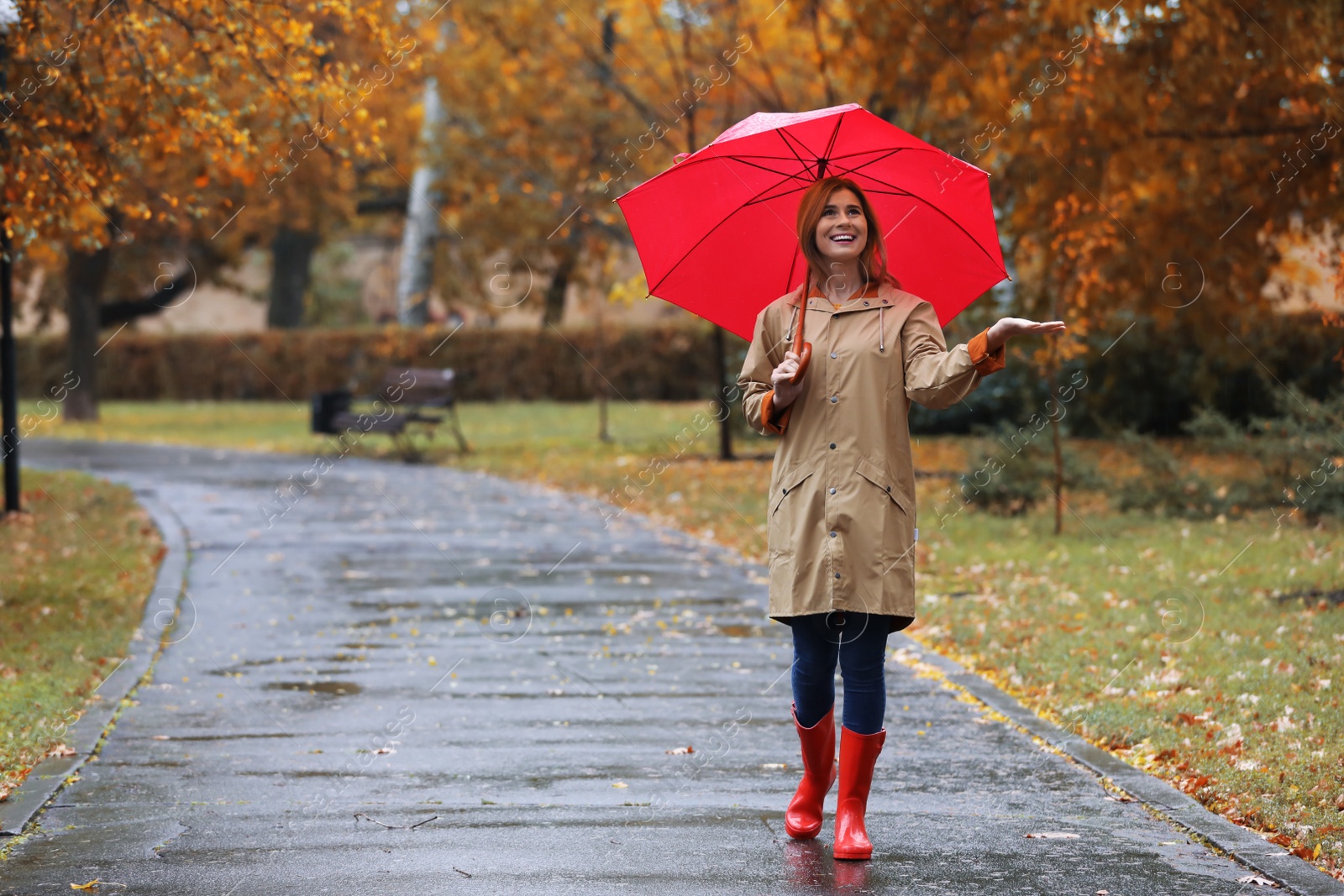 Photo of Woman with umbrella taking walk in autumn park on rainy day