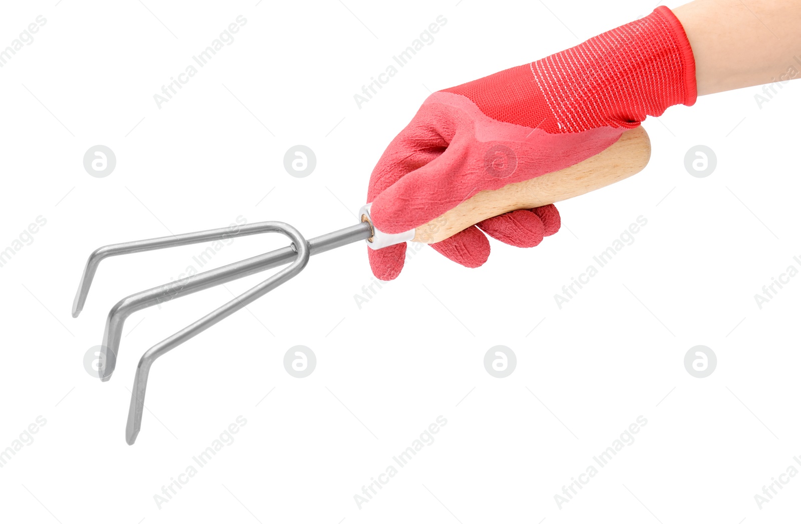 Photo of Woman in gardening glove holding rake on white background, closeup