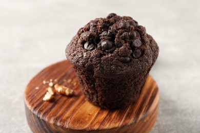 Photo of Delicious chocolate muffin on light grey table, closeup