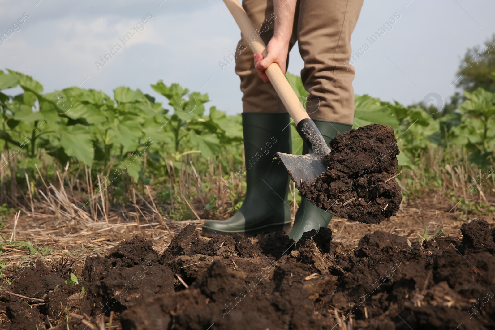 Photo of Worker digging soil with shovel outdoors, closeup