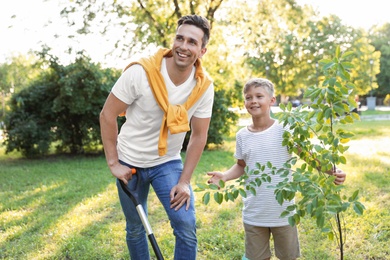 Dad and son planting tree in park on sunny day