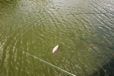 Photo of Catching fish on hook in river. Fishing day