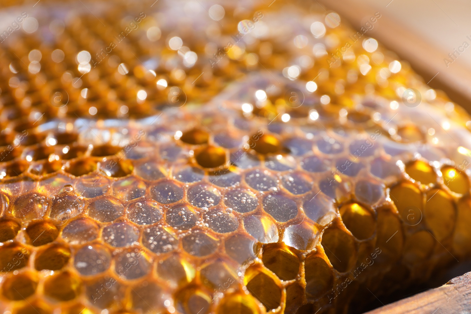 Photo of Closeup view of uncapped filled honeycomb frame