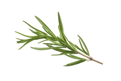 Photo of Aromatic rosemary sprig isolated on white. Fresh herb