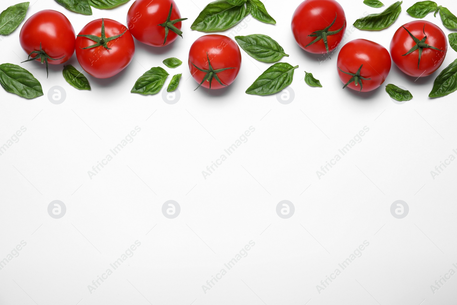 Photo of Fresh basil leaves and tomatoes on white background, flat lay. Space for text