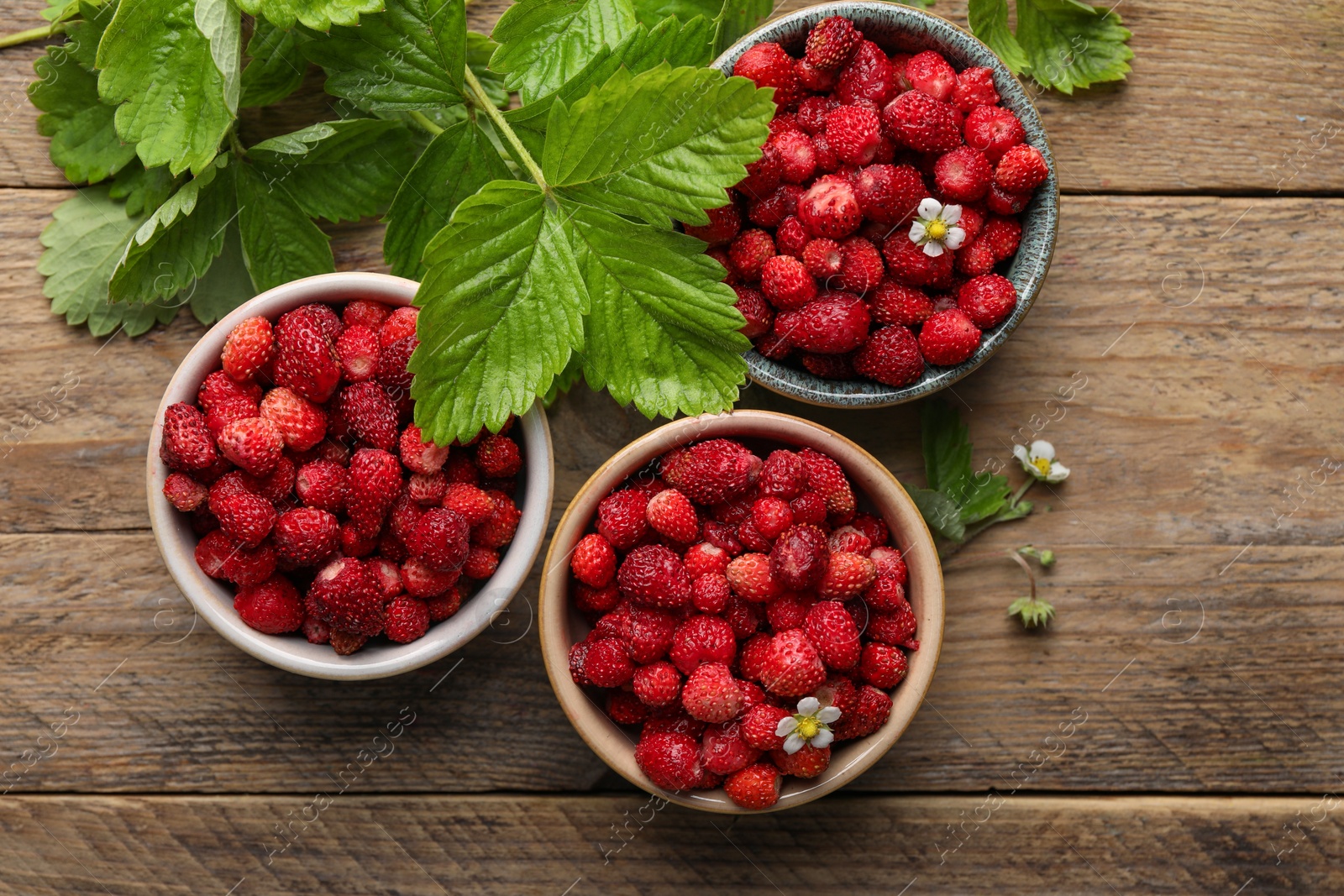 Photo of Fresh wild strawberries in bowls and leaves on wooden table, flat lay