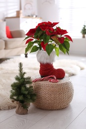 Photo of Beautiful poinsettia and candy canes on wicker stand near decorative tree indoors. Traditional Christmas flower