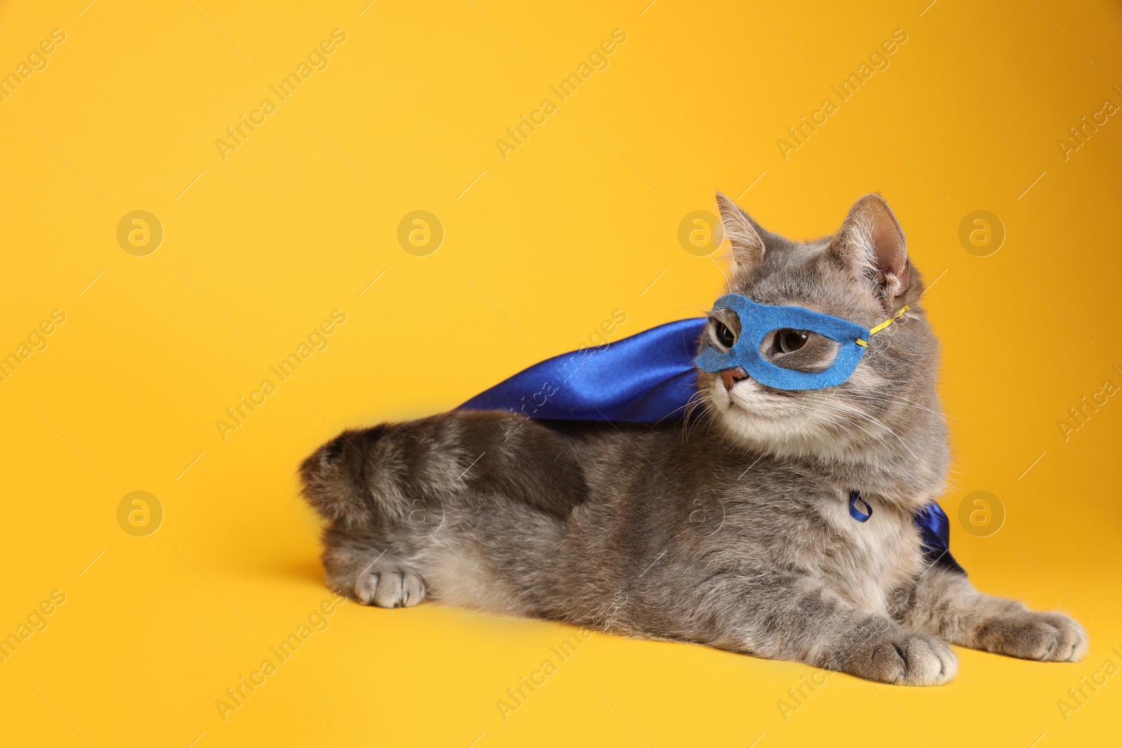 Photo of Adorable cat in blue superhero cape and mask on yellow background, space for text