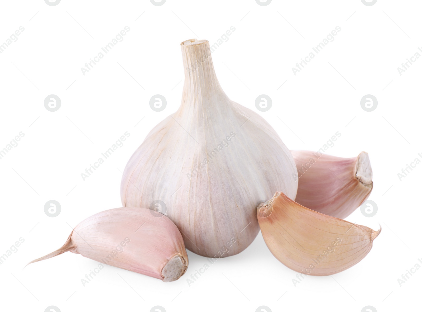 Photo of Head of fresh garlic and cloves isolated on white