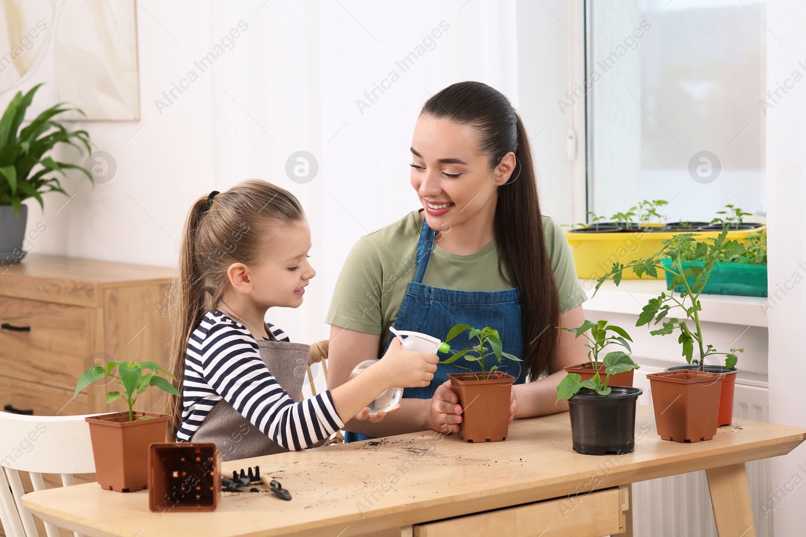 Photo of Mother and daughter spraying seedling in pot together at wooden table in room