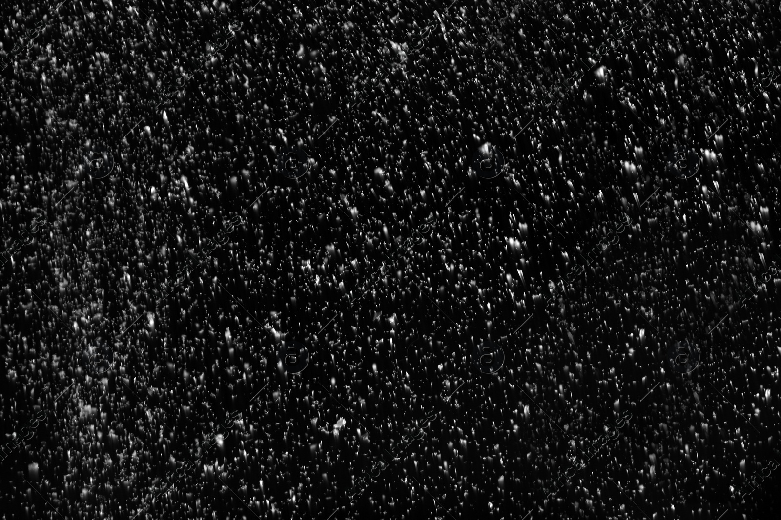 Photo of Snow flakes falling on black background. Winter weather