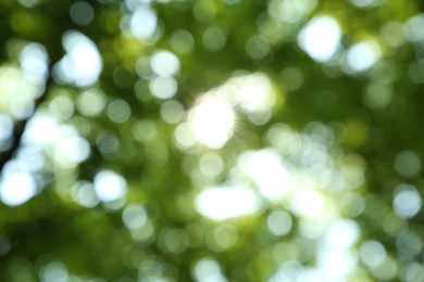 Photo of Blurred view of green trees outdoors. Bokeh effect