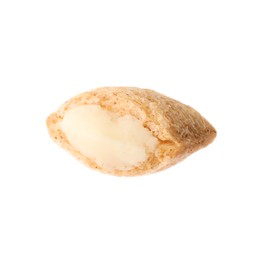 Photo of Broken corn pad with milk filling isolated on white