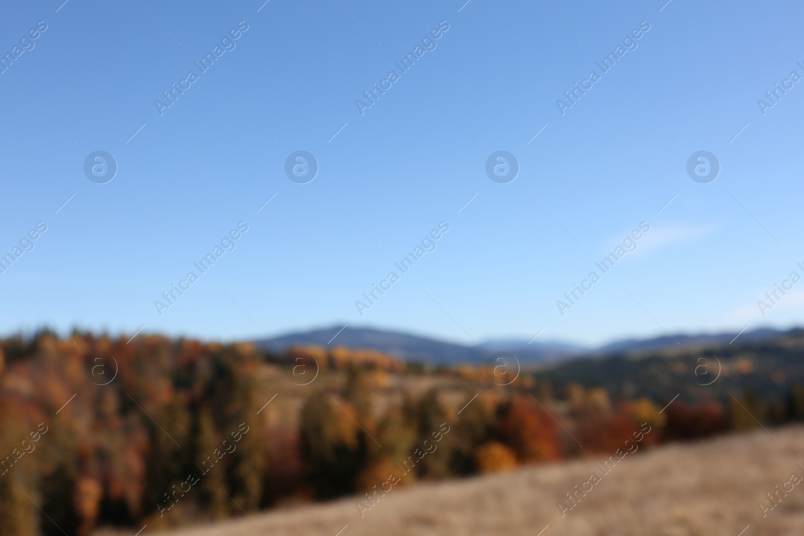 Photo of Picturesque landscape with beautiful forest and mountains, blurred view