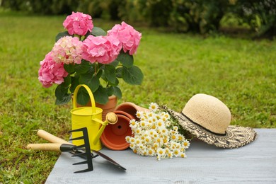 Photo of Beautiful blooming plants, gardening tools and accessories on green grass outdoors