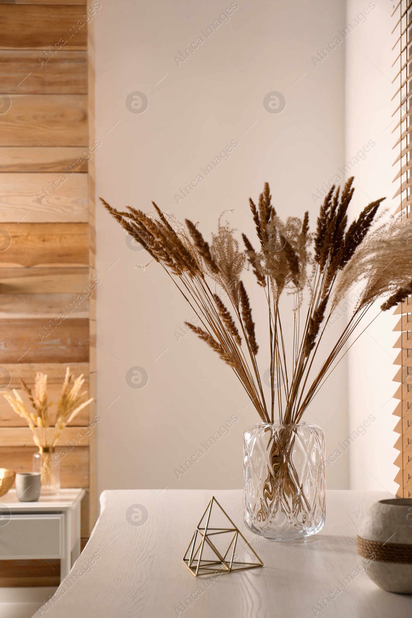 Photo of Dry plants on white table indoors. Interior design